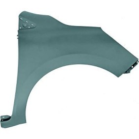 Aile avant droite (passager) à peindre