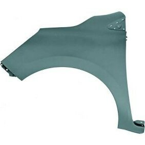 Aile avant gauche (chauffeur) à peindre